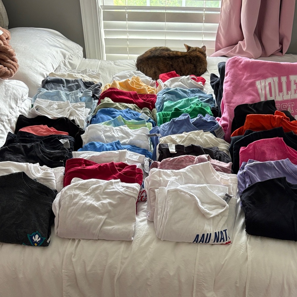 HUGE t-shirt/hoodie lot
